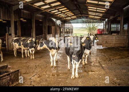 deposito di raccolta Foto Stock