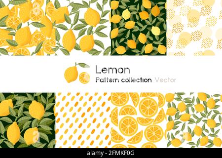 Pattern con raccolta senza giunture di limone intero e tritato con lamine o senza illustrazione vettoriale su sfondo bianco Illustrazione Vettoriale