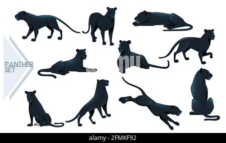 Set di Black Panther selvaggio grande gatto africano giungla cacciatore cartoon animal design illustrazione vettoriale su sfondo bianco Illustrazione Vettoriale