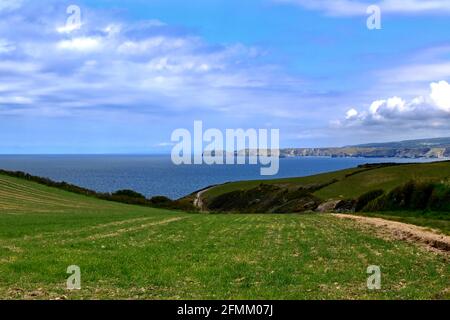 punta di Tintagel dal SWCP vicino a Port Isaac. Foto Stock