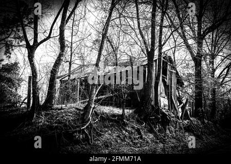 effetto filtro vignette su un fienile casa spooky in difficoltà la foresta con aggiunta di foto in bianco e nero ad alto contrasto effetto come una vacanza di halloween Foto Stock