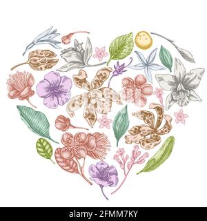 Cuore floreale con laelia pastello, fiori feijoa, cespuglio di gloria, papilio torquatus, cinchona, cattleya aclandiae Illustrazione Vettoriale