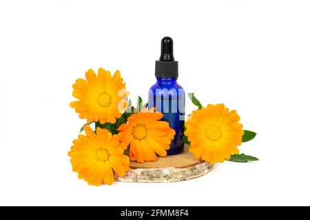 Fiori marigoldi e bottiglia contagocce su fetta di legno di betulla e sfondo giallo. Spazio di copia. Foto Stock