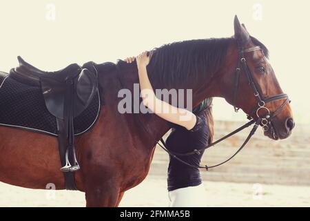 Donna in piedi dietro il suo cavallo marrone abbracciandolo intorno al collo, cavallo è pronto per l'equitazione Foto Stock