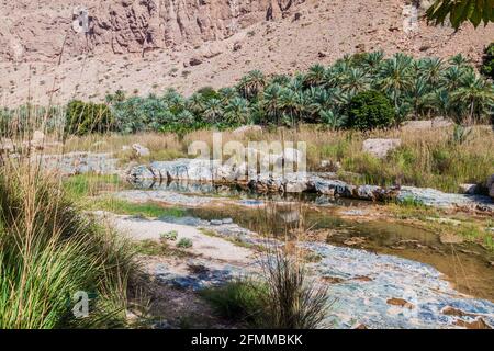 Creek nella valle di Wadi Tiwi, Oman Foto Stock