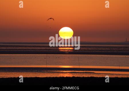 Pellworm, Germania. 10 maggio 2021. Il sole tramonta sul Mare del Nord al largo dell'isola di Pellworm. Credit: Marco Brandt/dpa/Alamy Live News Foto Stock