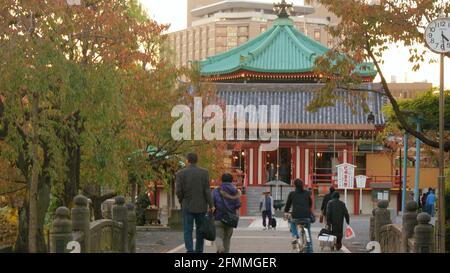 Tokyo, Giappone, Novembre 2012: Dettaglio del Parco Ueno al tramonto. Foto Stock