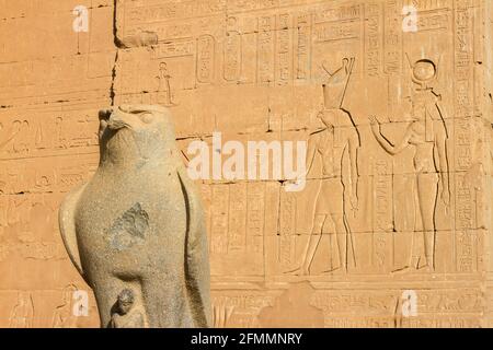 Statua di Horus nel cortile del tempio di Edfu con geroglifici su muro in background, Edfu, Egitto Foto Stock