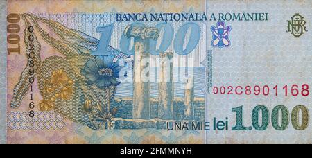 Banconota da 1000 lei rumena, 1996 Series - carta, a scopo progettuale Foto Stock