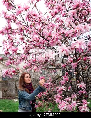 Donna che guarda i fiori rosa su un albero di magnolia in un giorno di primavera. Foto Stock