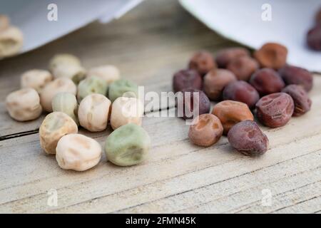 Varietà colorate di semi di piselli per piantare nel giardino. Semi verdi e pallidi a sinistra: Peas Super Sugar Snap. Semi viola destro: Piselli della neve del pugno viola. S Foto Stock