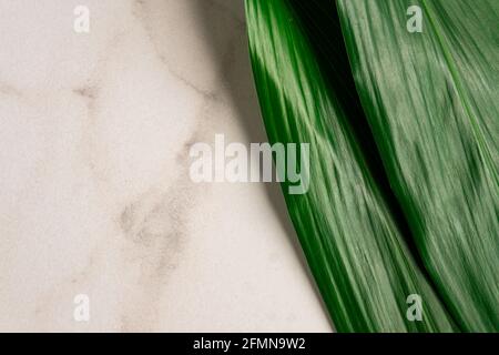 Composizione piatta con foglie tropicali e spazio per il testo su sfondo marmoreo. Foto Stock