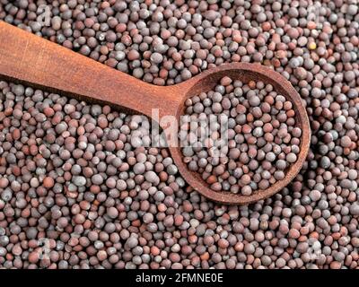 vista dall'alto del cucchiaio di legno sul mucchio di senape nera (Brassica nigra) primo piano dei semi Foto Stock