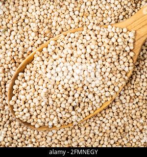 Vista dall'alto dei grani di Sorgo grezzi senza bucato in cucchiaio di legno primo piano Foto Stock