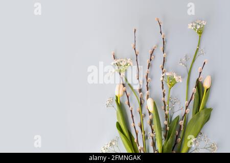 Composizione floreale di primavera orizzontale con ramoscelli di salice, tulipani e alyssum su sfondo blu con spazio di copia adatto per le cartoline di vacanza, striscioni e Foto Stock