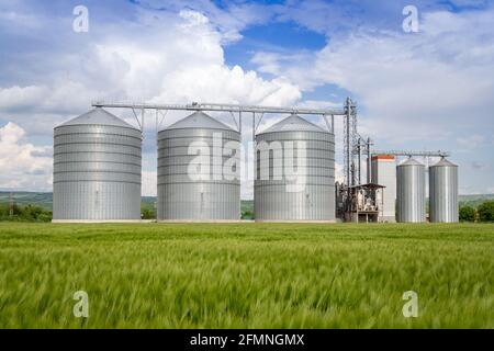 Silo agricolo con grano in primo piano - stoccaggio e essiccazione di cereali, grano, mais, soia, girasole contro il cielo blu con nuvole bianche Foto Stock