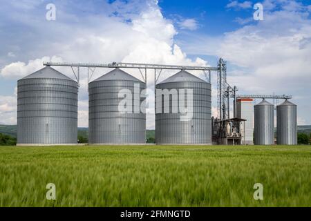 Silo agricolo con grano in primo piano - stoccaggio e essiccazione di cereali, grano, mais, soia, girasole contro il cielo blu con nuvole bianche Foto Stock