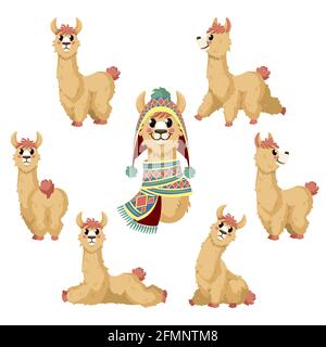 Llama. Cartoon alpaca, lama divertente animale in varie posizioni con cile o perù vestiti tradizionali vettori caratteri isolati. Creatura messicana soffice con cappello colorato e sciarpa, posizioni diverse Illustrazione Vettoriale