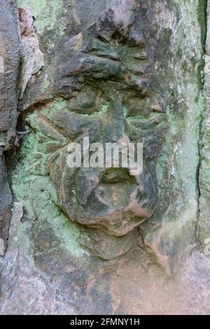 Sculture nelle rive di arenaria di Hell Lane, un antico percorso sommerso (un Holloway) a Dorset, Inghilterra, Regno Unito Foto Stock