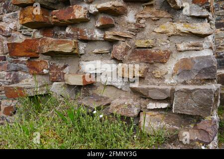 primo piano di una parete medievale del castello fatta di mattoni rossi grigi Foto Stock