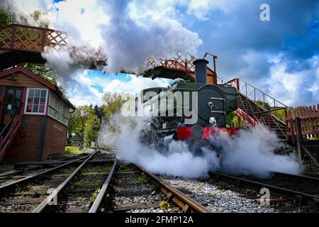 Great Western Pannier Tank 1336 Classe No. 1369, costruito nel 1933, guidato da Andy Letts è dato pieno vapore avanti per entrare nella stazione a vapore presso la South Devon Railway (SDR) a Buckfastleigh, South Devon, dove il personale, I conducenti e gli ingegneri stanno controllando le attrezzature mentre preparano l'attrazione per prepararsi alla riapertura al pubblico, lunedì 17 maggio, in vista di un ulteriore allentamento delle restrizioni di blocco in Inghilterra. Data immagine: Martedì 11 maggio 2021. Foto Stock