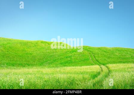 Erba e cielo di fondo. Erba verde con ruote e colline su cielo blu chiaro Foto Stock
