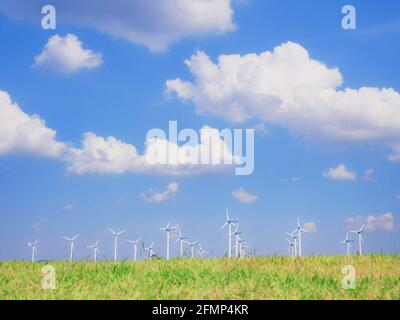 Foto di un campo di turbine eoliche che generano elettricità da una distanza sul campo di erba fresca. Foto Stock