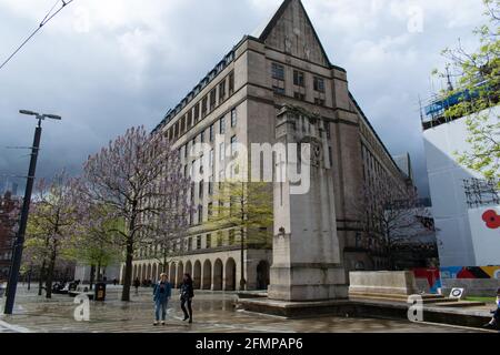 Estensione del Municipio di Manchester e Cenotaph in Piazza San Pietro Con alberi di Paulownia tomentosa in fiore Foto Stock