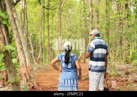 Vista posteriore di una coppia di mezza età (40-45 anni) discutere di un argomento e guardarsi l'uno verso l'altro all'interno una foresta Foto Stock