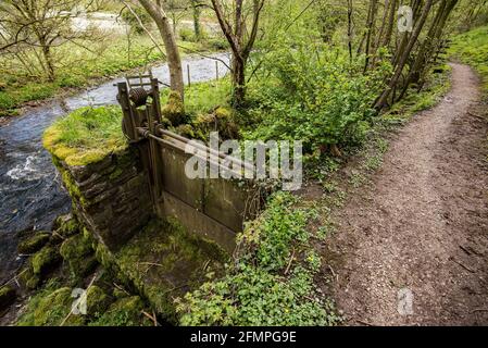 Sentiero lungo il fiume Aire Foto Stock