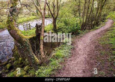 Sentiero lungo il fiume Aire Foto Stock