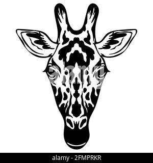 Mascotte. Testa di giraffa. Immagine vettoriale vista frontale di colore nero di animali selvatici isolati su sfondo bianco. Per decorazione, stampa, disegno, logo, Illustrazione Vettoriale