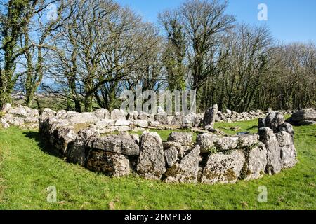 Lligwy Din (Din Llugwy) rimane di insediamento di una capanna Celtic Circle cascina risalente ai tempi dei romani. Moelfre, Isola di Anglesey, Galles, Regno Unito, Gran Bretagna Foto Stock