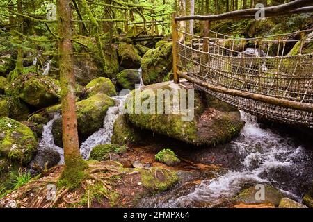 La cascata Gertelbach nella valle di Bühler, Foresta Nera settentrionale. Baden-Wuerttemberg, Germania, Europa Foto Stock