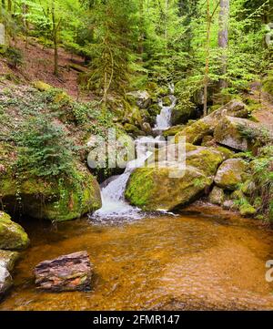 La cascata Gertelbach nella valle di Bühler, Foresta Nera settentrionale. Baden-Wuerttemberg, Germania, Europa Foto Stock