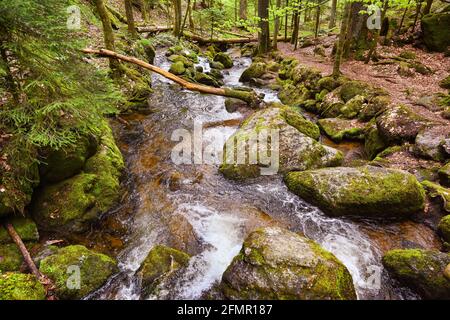 La cascata Gertelbach nella valle di Bühler, Foresta Nera settentrionale. Baden-Wuerttemberg, Germania, Europa Foto Stock