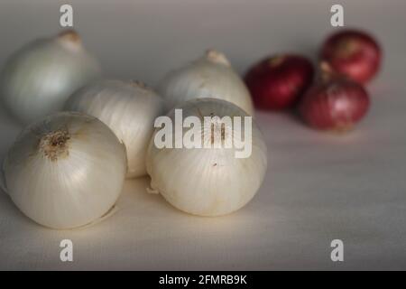 La cipolla bianca o Allium cepa è una cultivar di cipolla secca dal sapore leggero e delicato. Shot con cipolle rosse su sfondo bianco Foto Stock