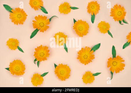 Fiori gialli marigold con foglie. Spazio di copia. Disposizione piatta. Foto Stock