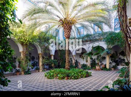 Tipico patio andaluso con fontana e numerose piante gerani e garofani sulle pareti. Cordoba, Spagna Foto Stock