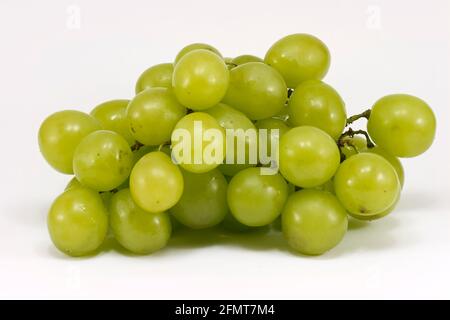 Green Grapes (Muscat) bello tagliato di fresco e fotografato cluster isolato Foto Stock