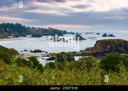 Inlet of Harris Beach state Park sull'autostrada 101 appena a nord di Brookings, Oregon, con molte grandi formazioni rocciose chiamate stack di mare. STATI UNITI Foto Stock