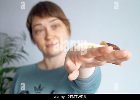 La lumaca di Ahatina striscia sulla mano di una donna Foto Stock