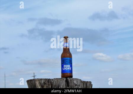 Bud Light bottiglia di birra colpo closeup su un palo con cielo blu e nuvole fuori nel paese che è luminoso e colorato. Foto Stock