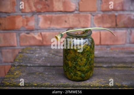 Concetto di medicina alternativa. La tintura del dente di leone è un rimedio omeopatico naturale a casa. Dente di leone infuso in alcol. Sfondo rustico Foto Stock