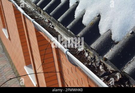 Un primo piano di un tetto otturato, non pulito, con foglie e sporcizia caduti l'anno scorso, mentre la neve si sta sciogliendo sul tetto della casa in primavera. Foto Stock