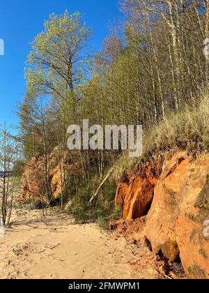 Pietra arenaria arancione sulla riva di una spiaggia rocciosa di mare con grotte e radici di alberi. Foto Stock