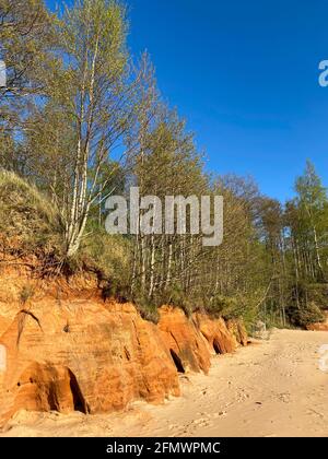 Pietra arenaria arancione sulla riva di una spiaggia di mare con grotte. Alberi e erba verde crescono sulle rocce. Foto Stock