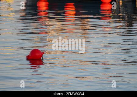 Un buoy galleggiante nell'acqua al Cobb in Lyme regis Foto Stock