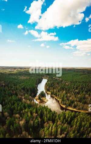 Vista aerea verticale sulla curva del fiume foresta selvaggia con una piccola isola, area pineta Foto Stock