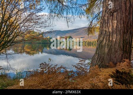 Loch Alvie, Aviemore, Scozia, Regno Unito Foto Stock